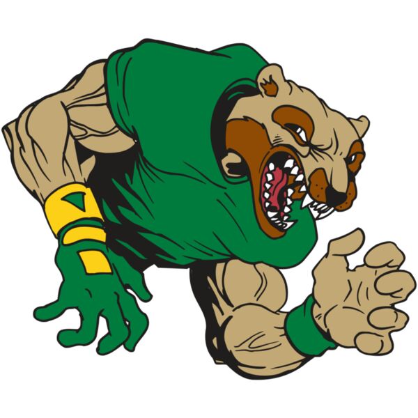 AR5 Wolverine 17 RQC Thumbnail